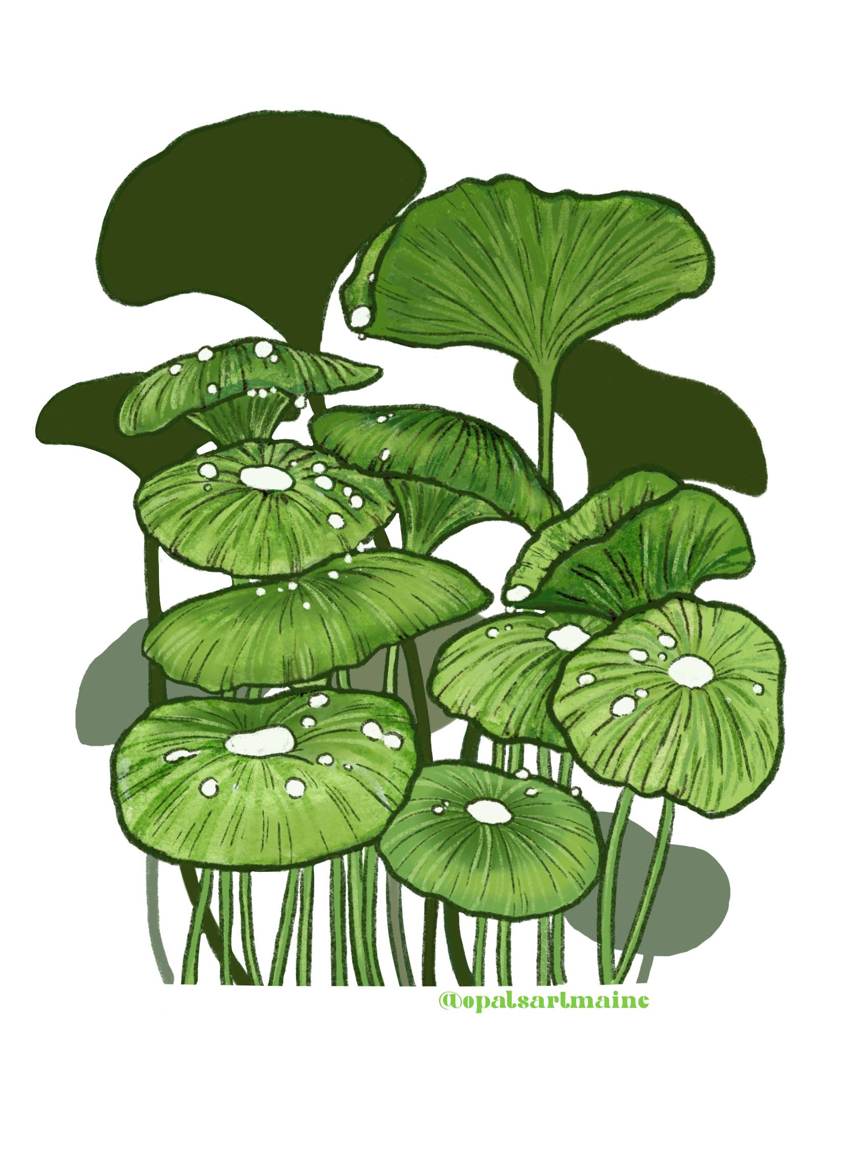 Dew Jungle Sticker for wholesale by Opal's Art