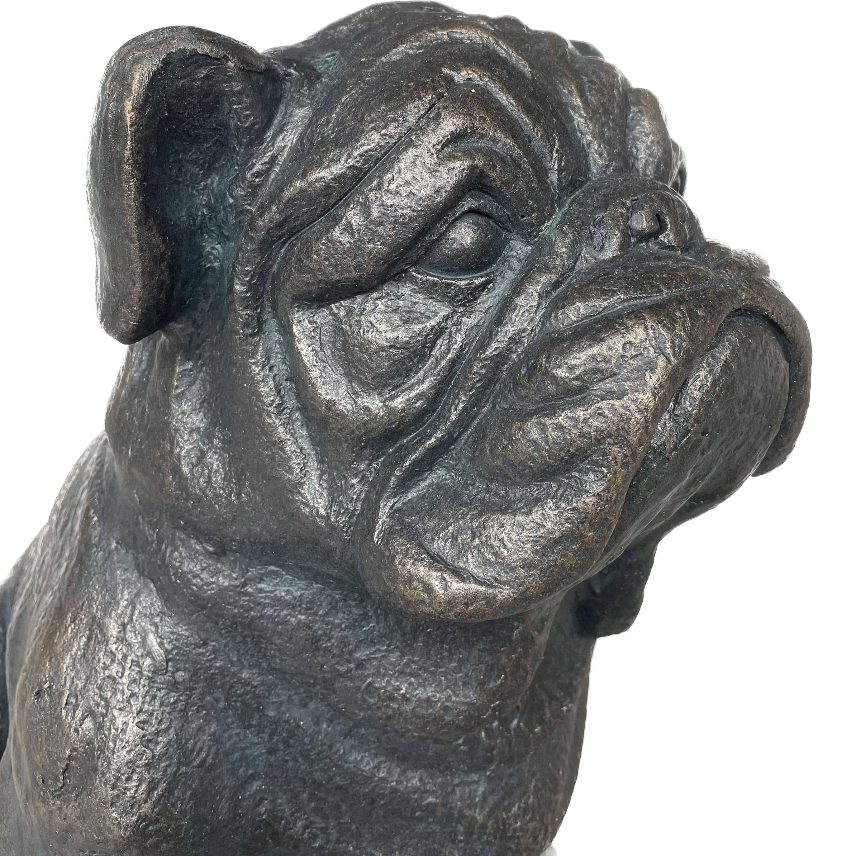 Galt International Company - Wholesale Outdoor Ornament/Decor - Sitting Bulldog Garden
 Resin Statue 16"7