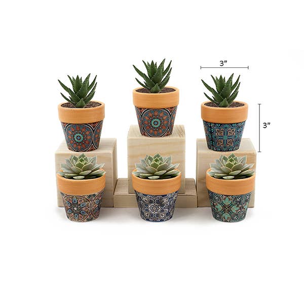 Land & Sea - Wholesale Plant Pot - Mini Pots0