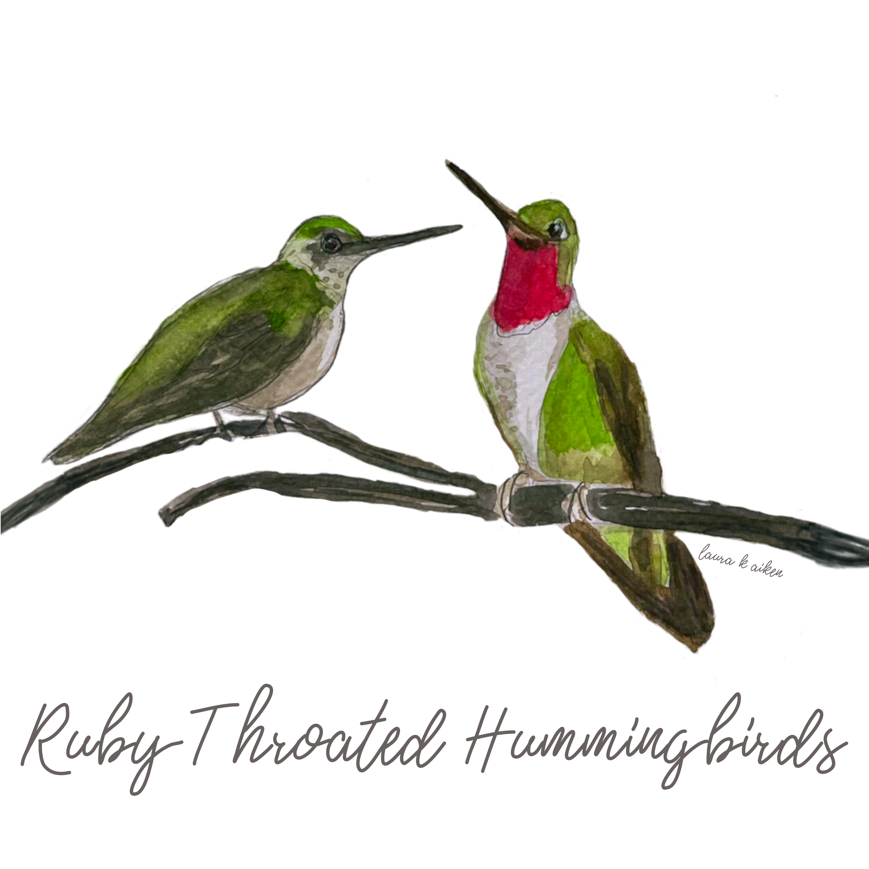 Laura K Aiken Studio - Wholesale Tea Towel - Ruby Throated Hummingbirds Handpainted1