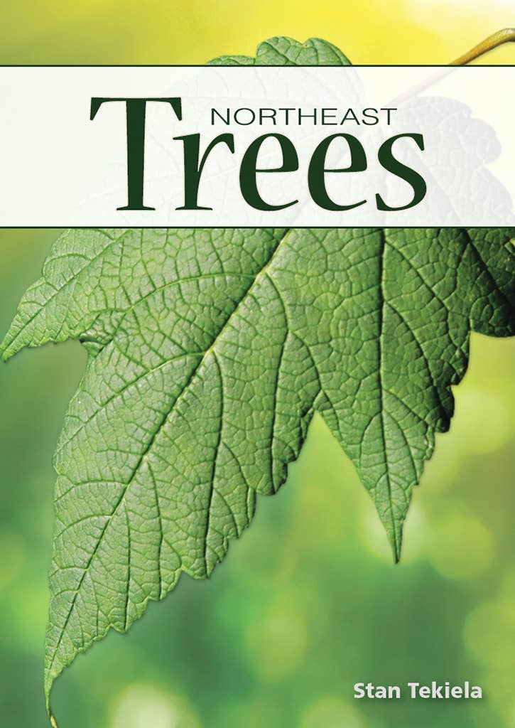 AdventureKEEN - Wholesale Playing Cards - Trees of Northeast Playing Cards0