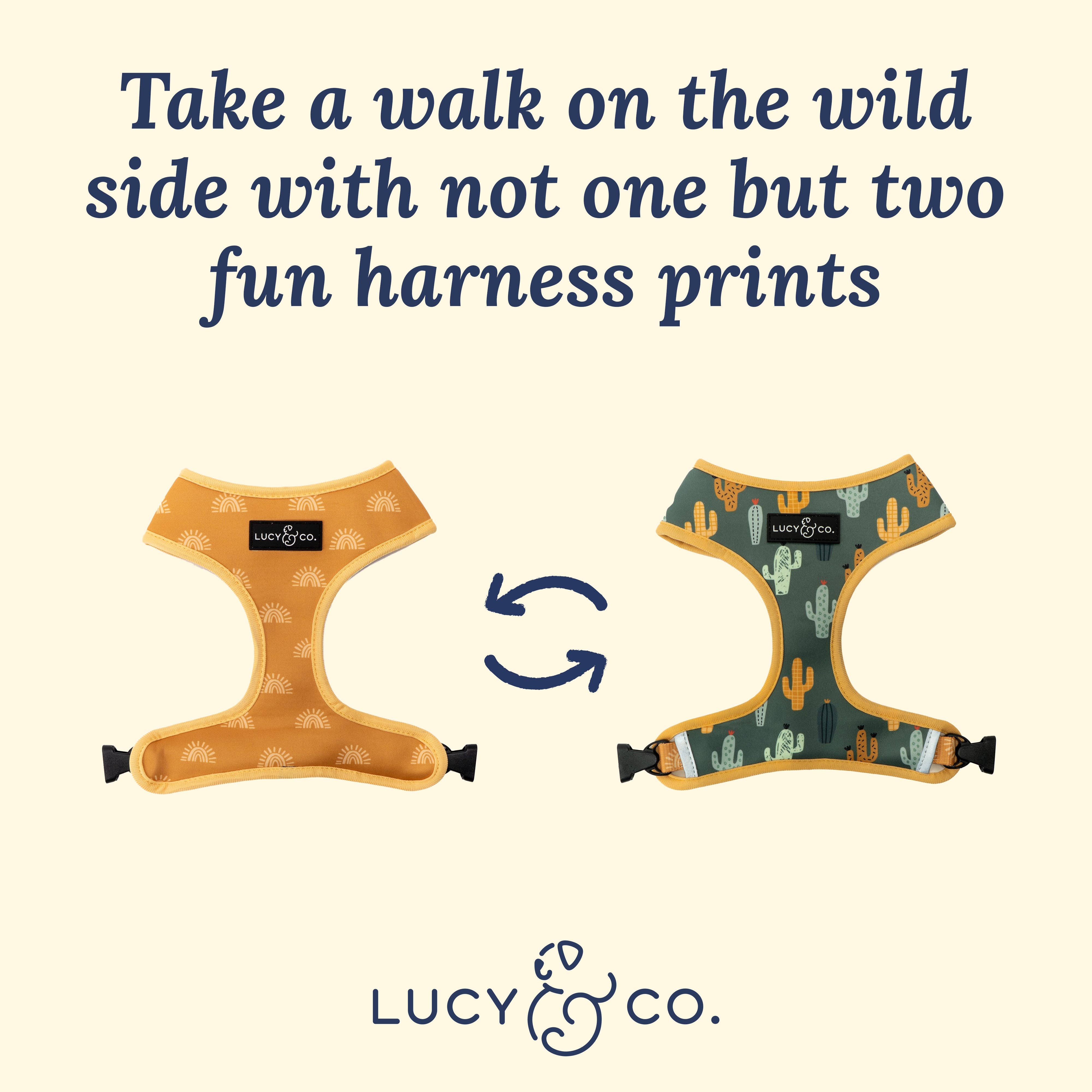 Lucy & Co. – Großhandel Haustiergeschirr – Hund – Scharfes Wende-Geschirr5