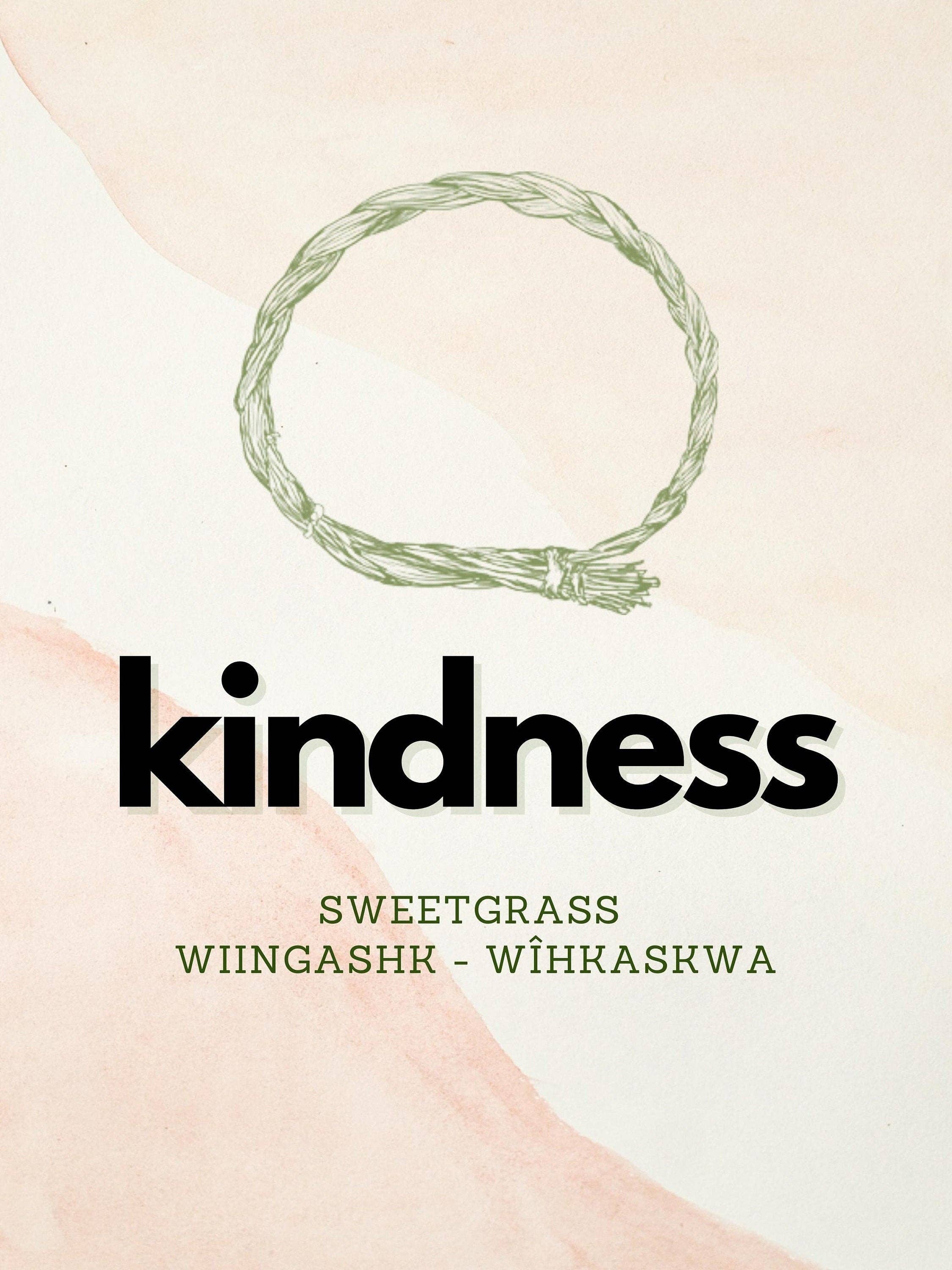 Eagle Woman Prints - Wholesale Art Print - Four Sacred Medicines Art Work - Four Piece Set2