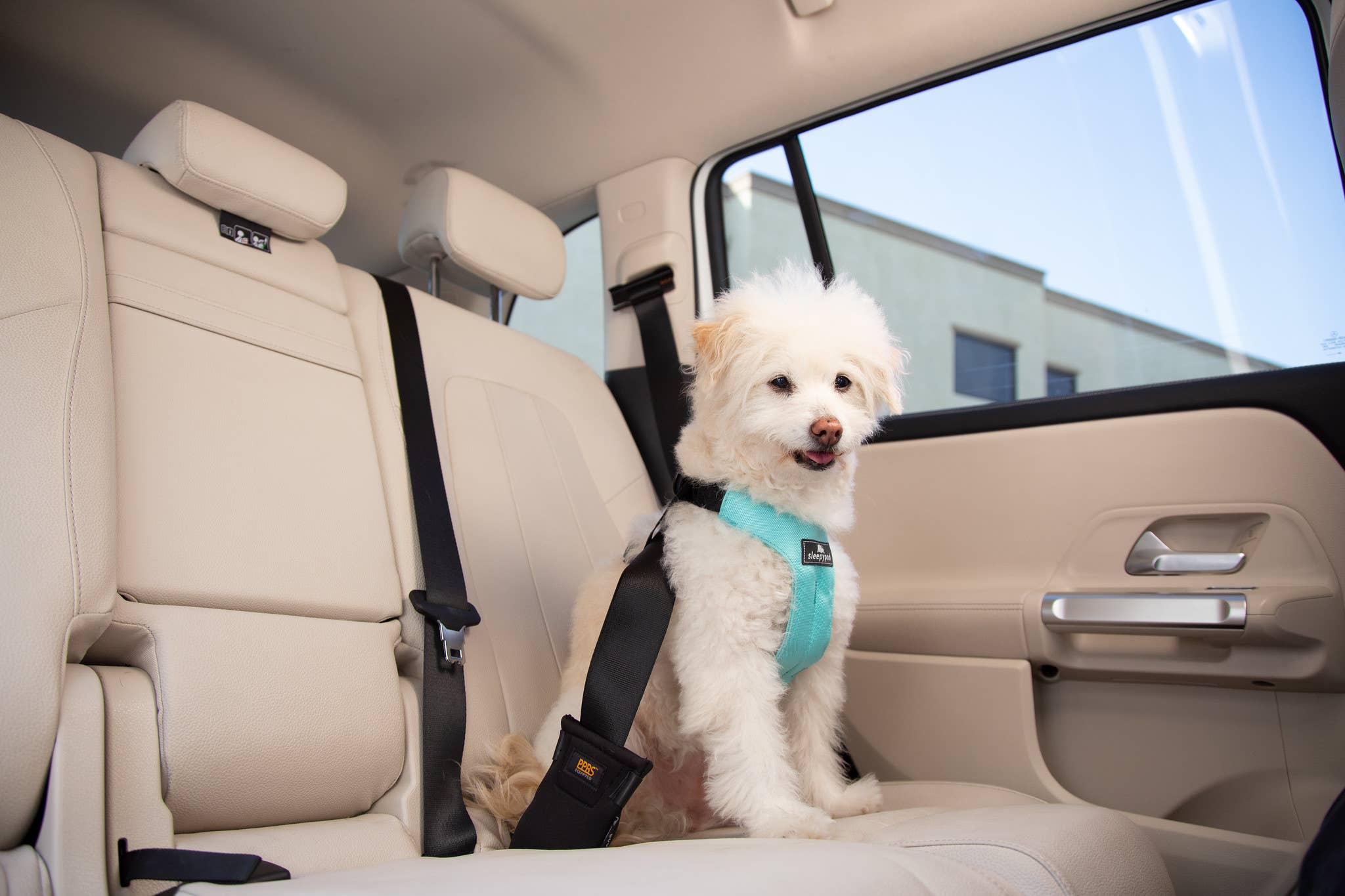 Sleepypod – wholesale Pet harness – Dog – Clickit Sport Plus Car Harness13