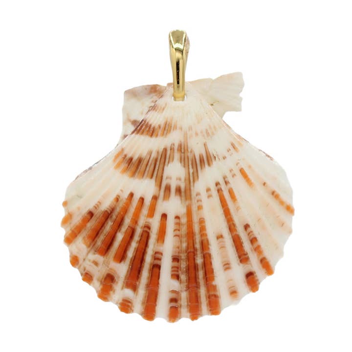 Shell Pendant - Size Medium for wholesale by Moliko LLC.