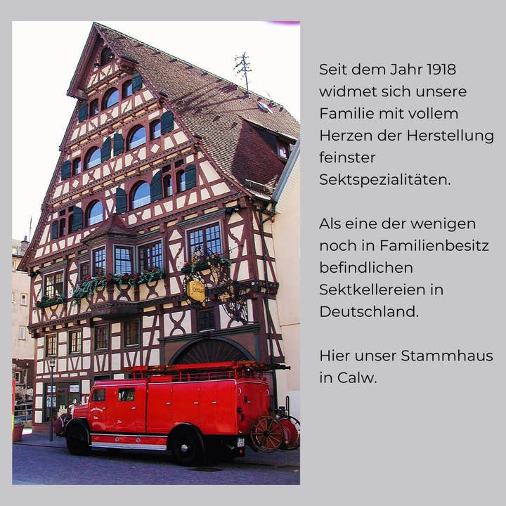 Justbe modern wine drinks - Wholesale - Schnaufer Platinum Sparkling Wine Extra Dry – Exclusive Vintage Cuvée, from Riesling & Chardonnay7