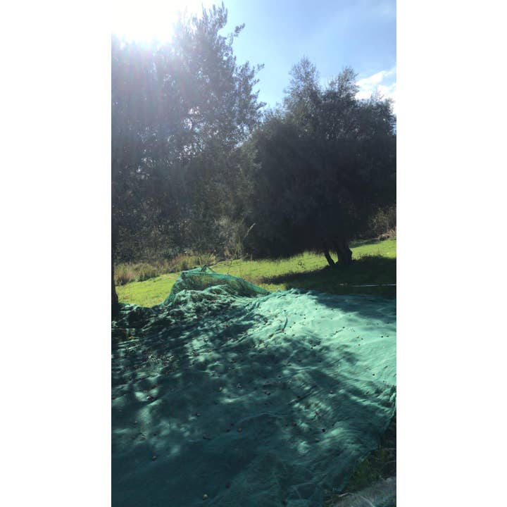 Don Vito Eccellenze Siciliane - Wholesale Olijfolie - Extra vierge olijfolie4