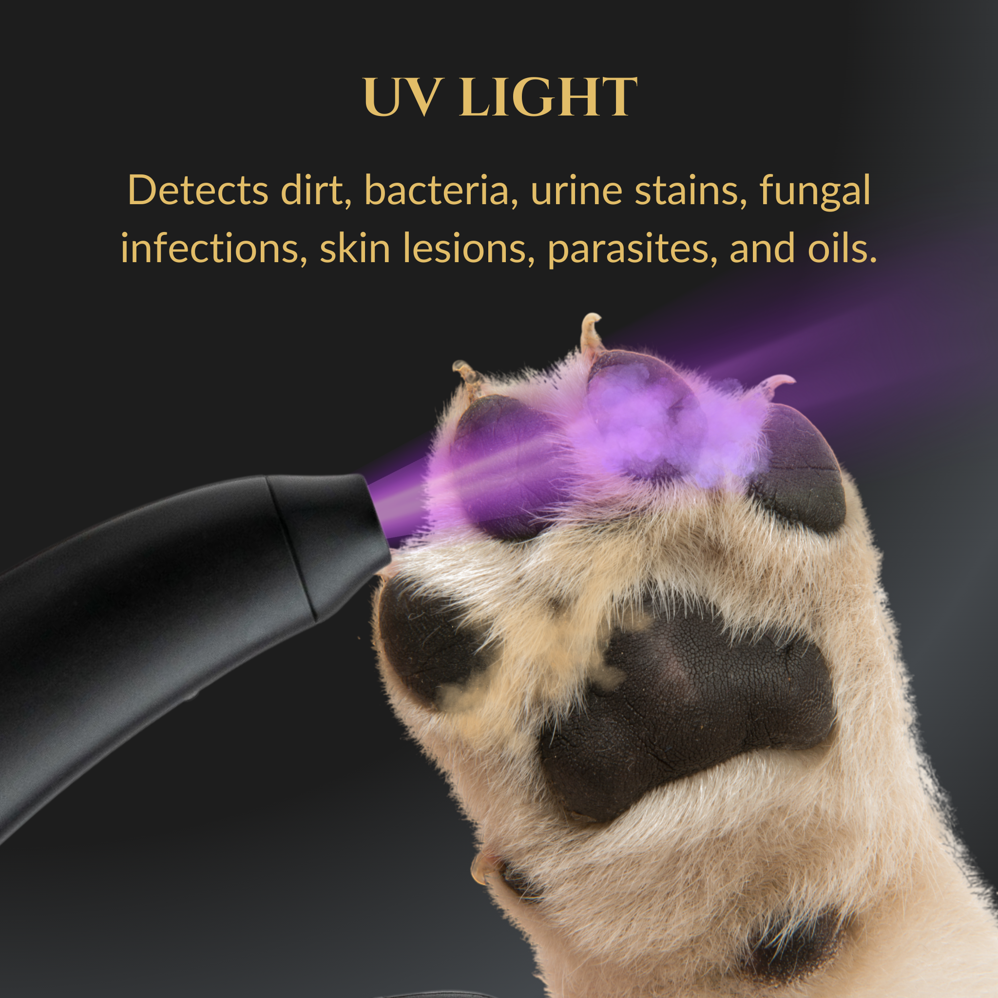 Wasatch Pup - Wholesale Nail Clipper/Scissor - 3 in 1 Nail Clippers5