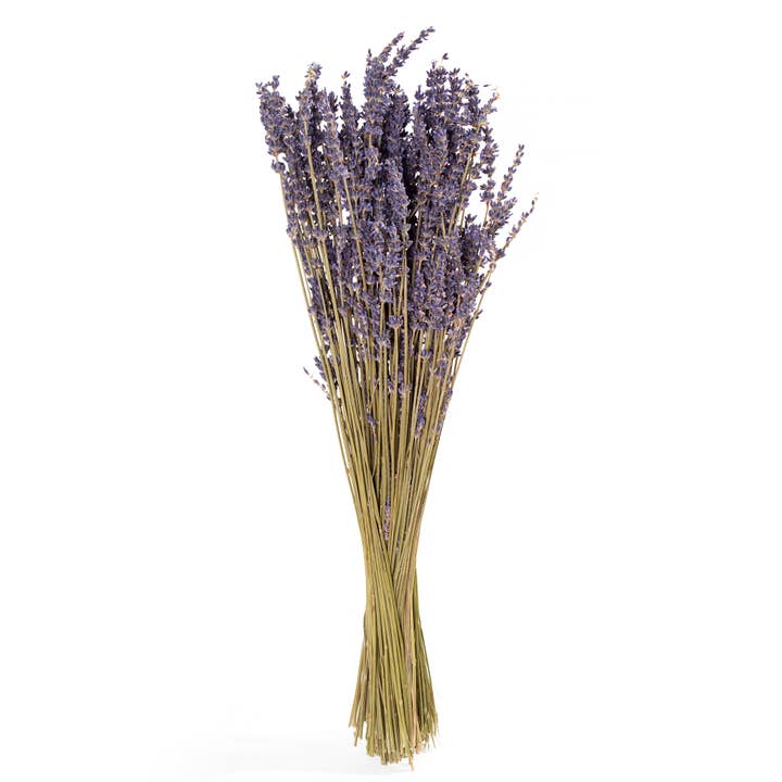 Andaluca - Wholesale Dried/Pressed Flowers - French Lavender Bundle