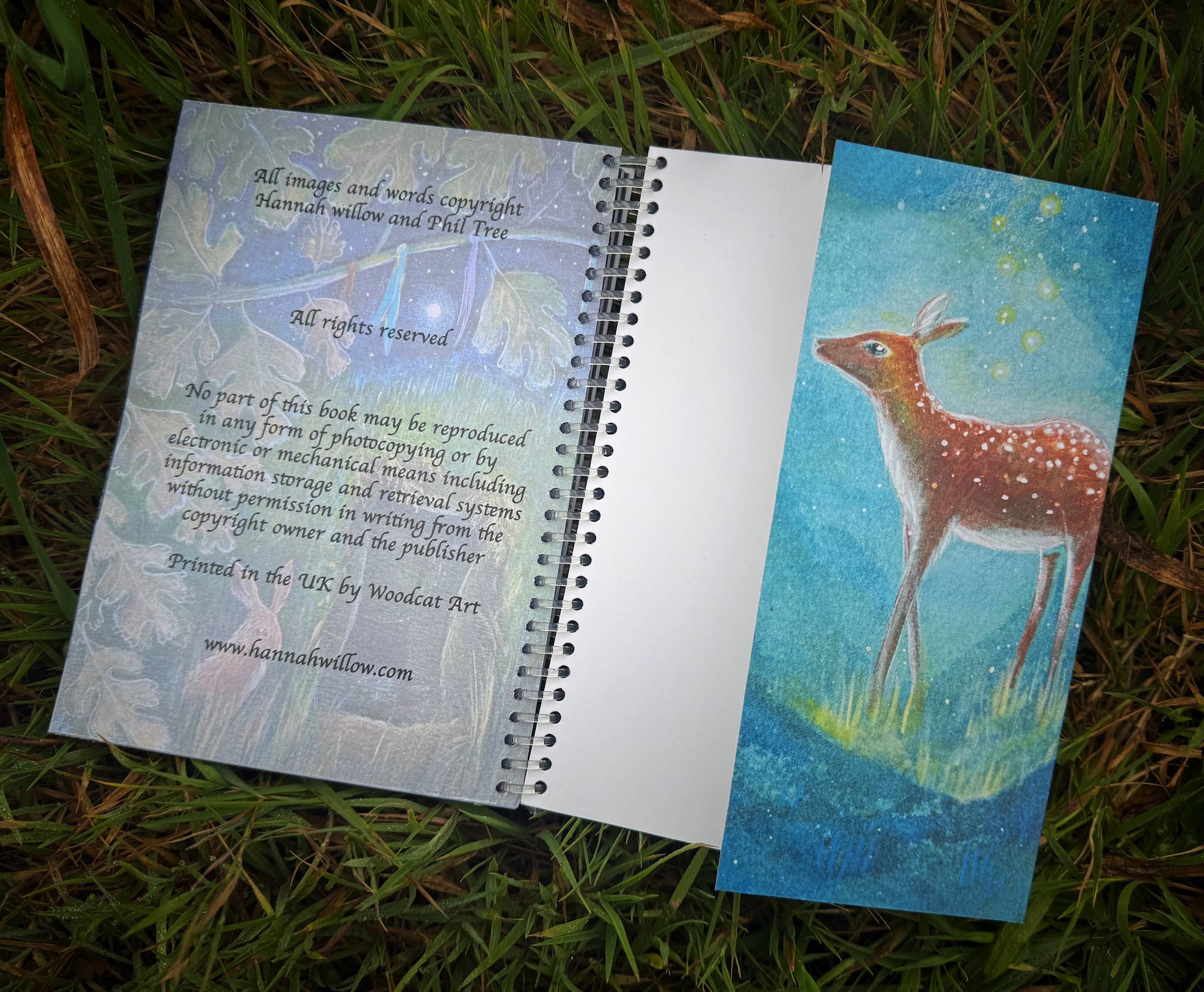Hannah Willow Art – wholesale Journal/diary – Hannah Willow 2026 Diary5