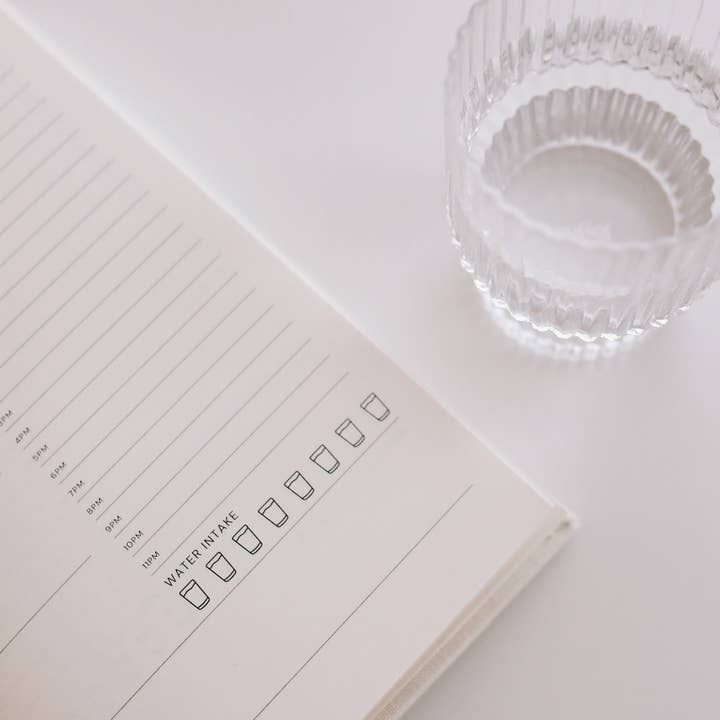 Strawberry Goose - Wholesale Planner - Wellness Planner7