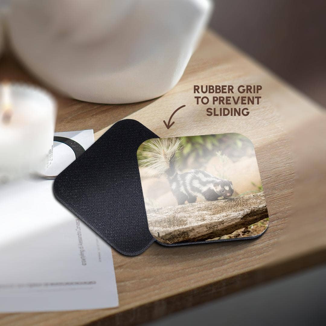 3dRose - Wholesale Coasters - 3dRose, Pine County. Captive spotted skunk. , Coaster10
