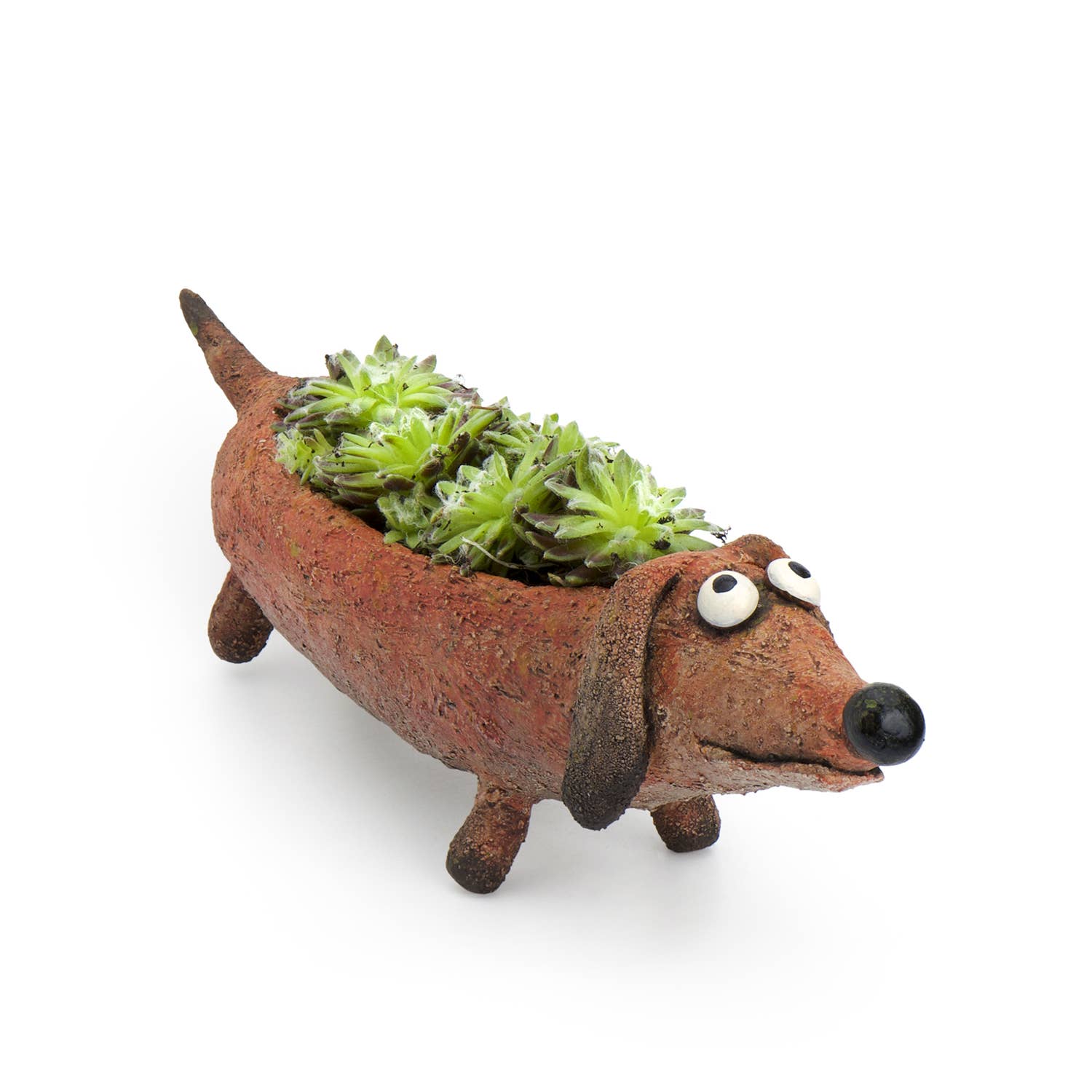 Cohasset Gifts - Wholesale Plant Pot - Dobby Doxin, Dog Blobhouse Planter