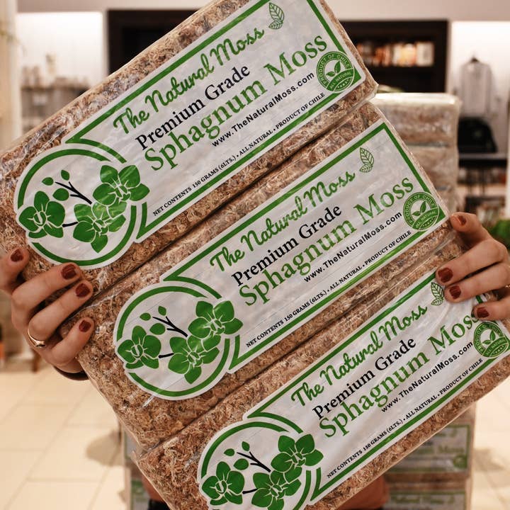Torba di sfagno cilena premium da 150 grammi per la vendita all'ingrosso da parte di Lost in the Forrest