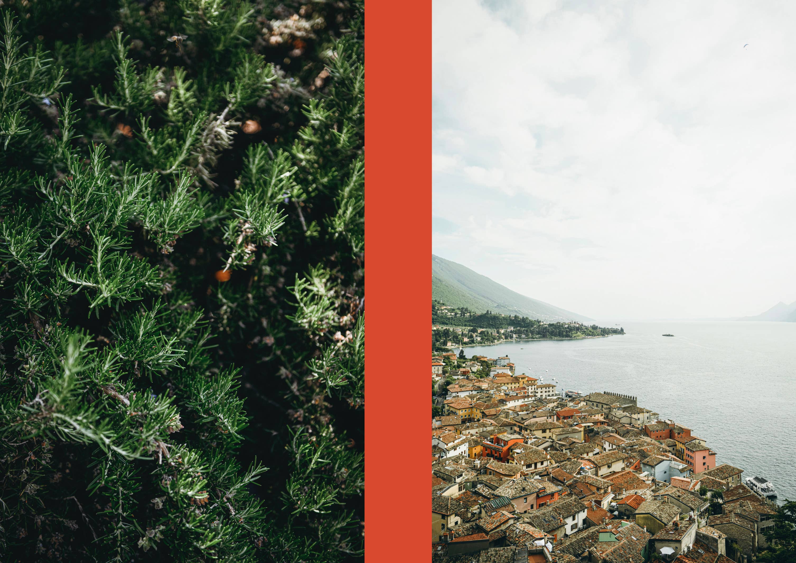 Cozy Publishing – wholesale Cookbooks and food – La Nostra Cucina Povera – Everyday Italian Eats5