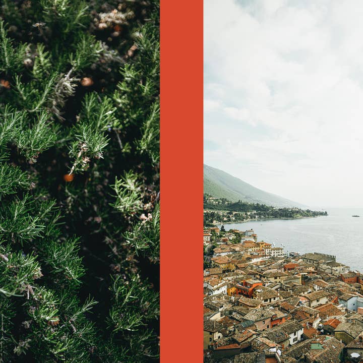 Cozy Publishing - Wholesale Cookbooks & Food - La Nostra Cucina Povera – Everyday Italian Eats5