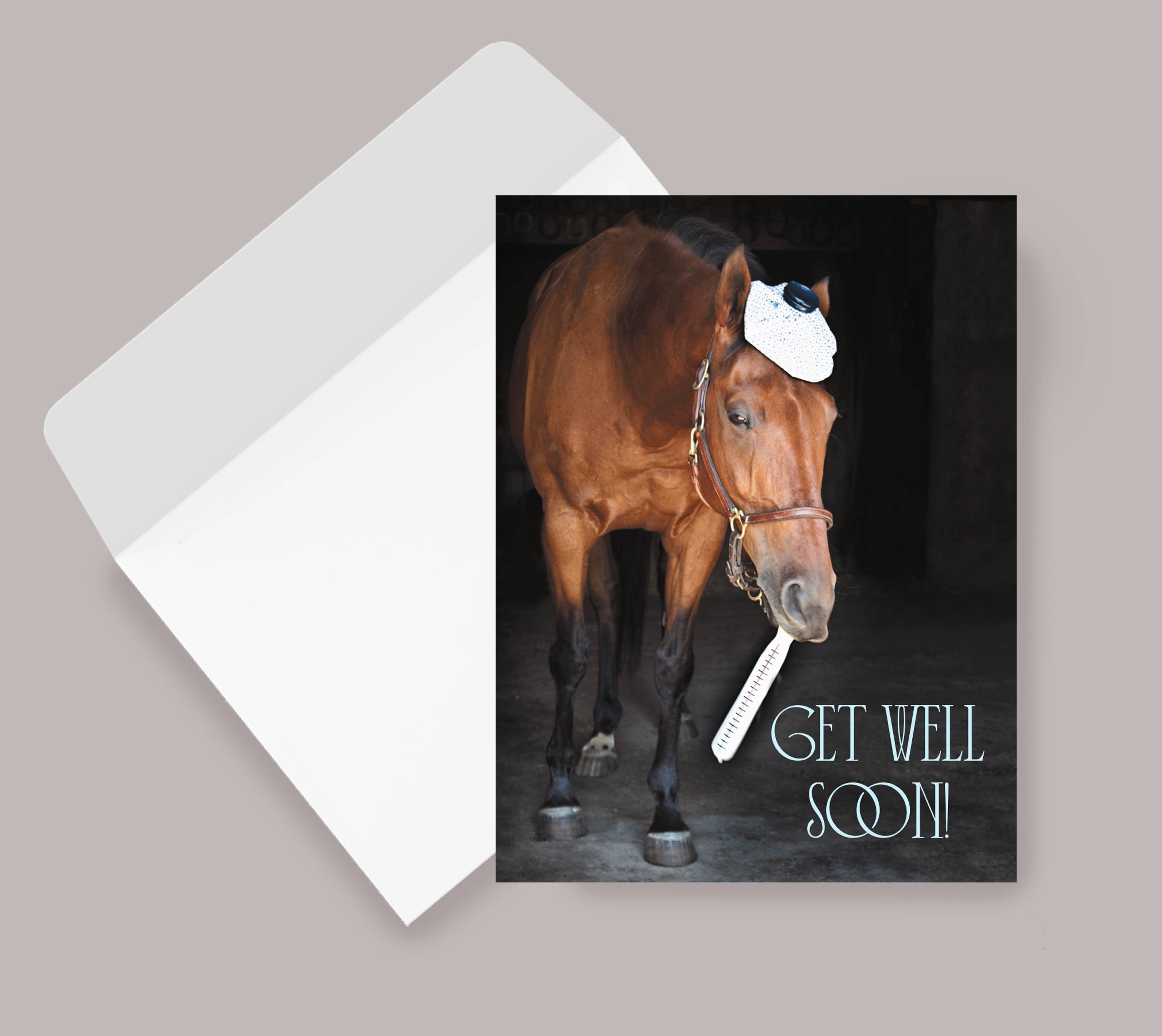 Horse Hollow Press - Wholesale Get Well Card - Horse Get Well Card / Horse & Thermometer / Funny Cute9