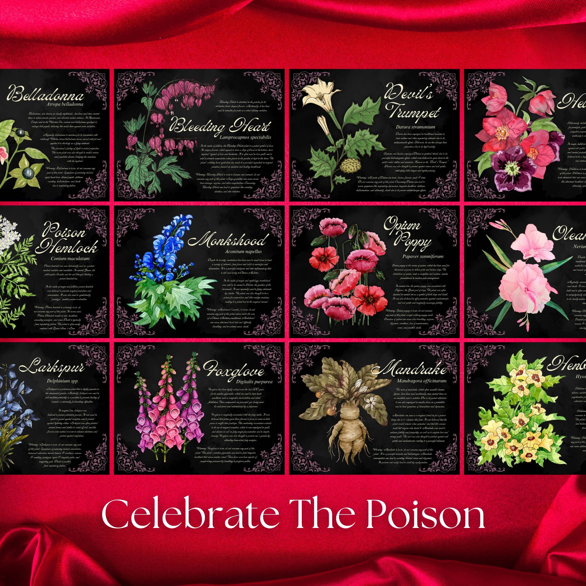 Calendar Magic Co. - Venta al por mayor Calendario - Calendario de PLANTAS VENENOSAS 20262