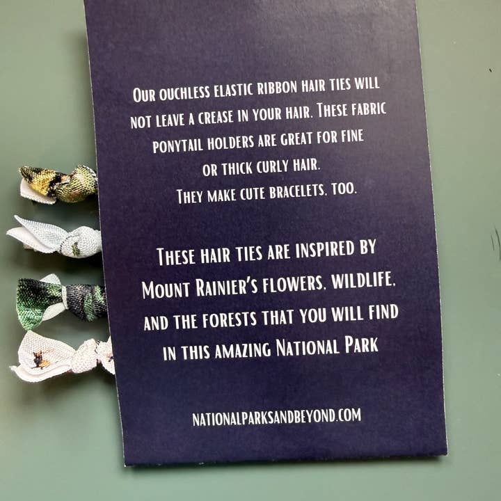 National Parks and Beyond - Wholesale Hair Tie - National Park Inspired Hair Bands9