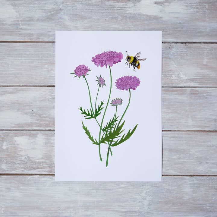 Bumblebee and Flowers A4 Giclée Art Print for wholesale by Crabapple Moon