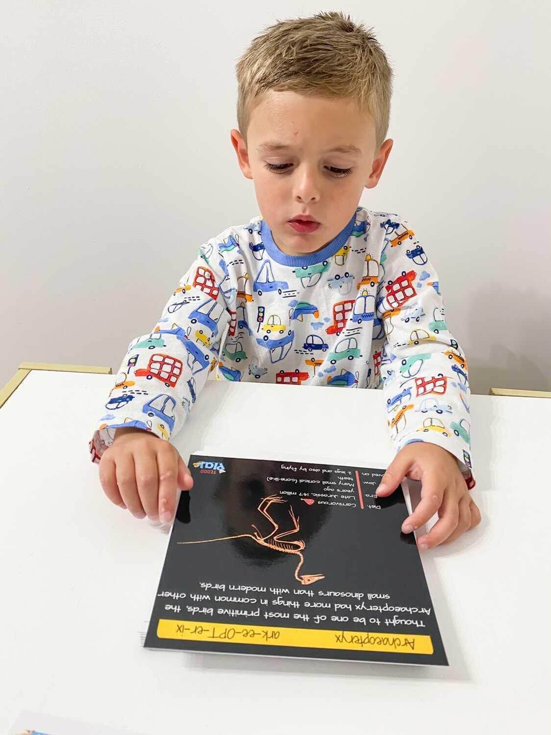 Teddo Play – Großhandel Lernkarten – Kind & Baby – Multi-Bundle mit 13 Lernsets Lernspiele für Kinder16