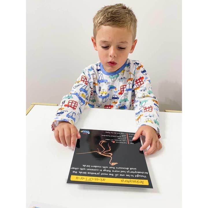 Teddo Play – Großhandel Lernkarten – Kind & Baby – Multi-Bundle mit 13 Lernsets Lernspiele für Kinder16