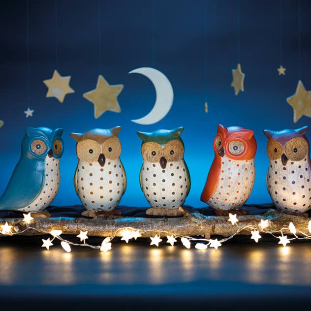 DCUK Spotty Owls for wholesale by DCUK