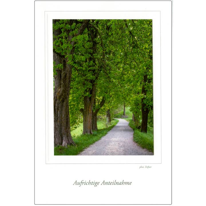 cartão de simpatia por atacado de Defner Photo Verlag seit 1919