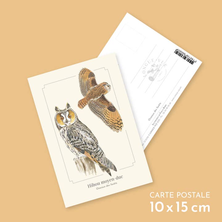 Långörad uggla - Vykort för wholesale av Longue-vue