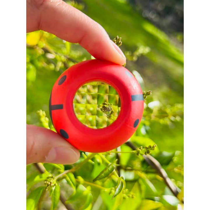 ToysLink - Wholesale Wood toy – Child - Wooden Prism-Bee, Frog and Ladybug3