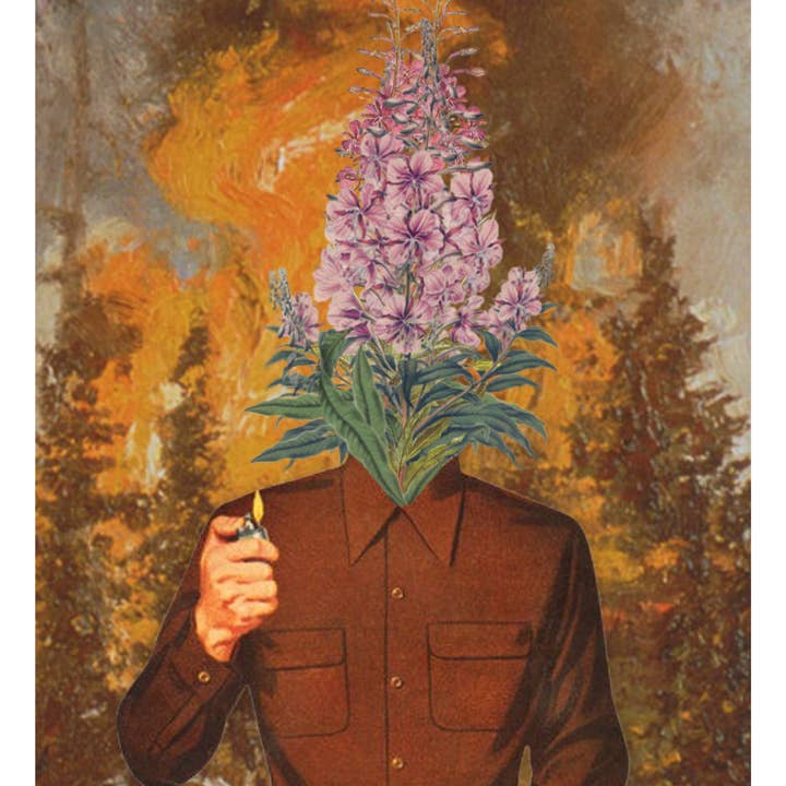 Lilbuddesigns – Großhandel Kunstdruck – Aus der Asche