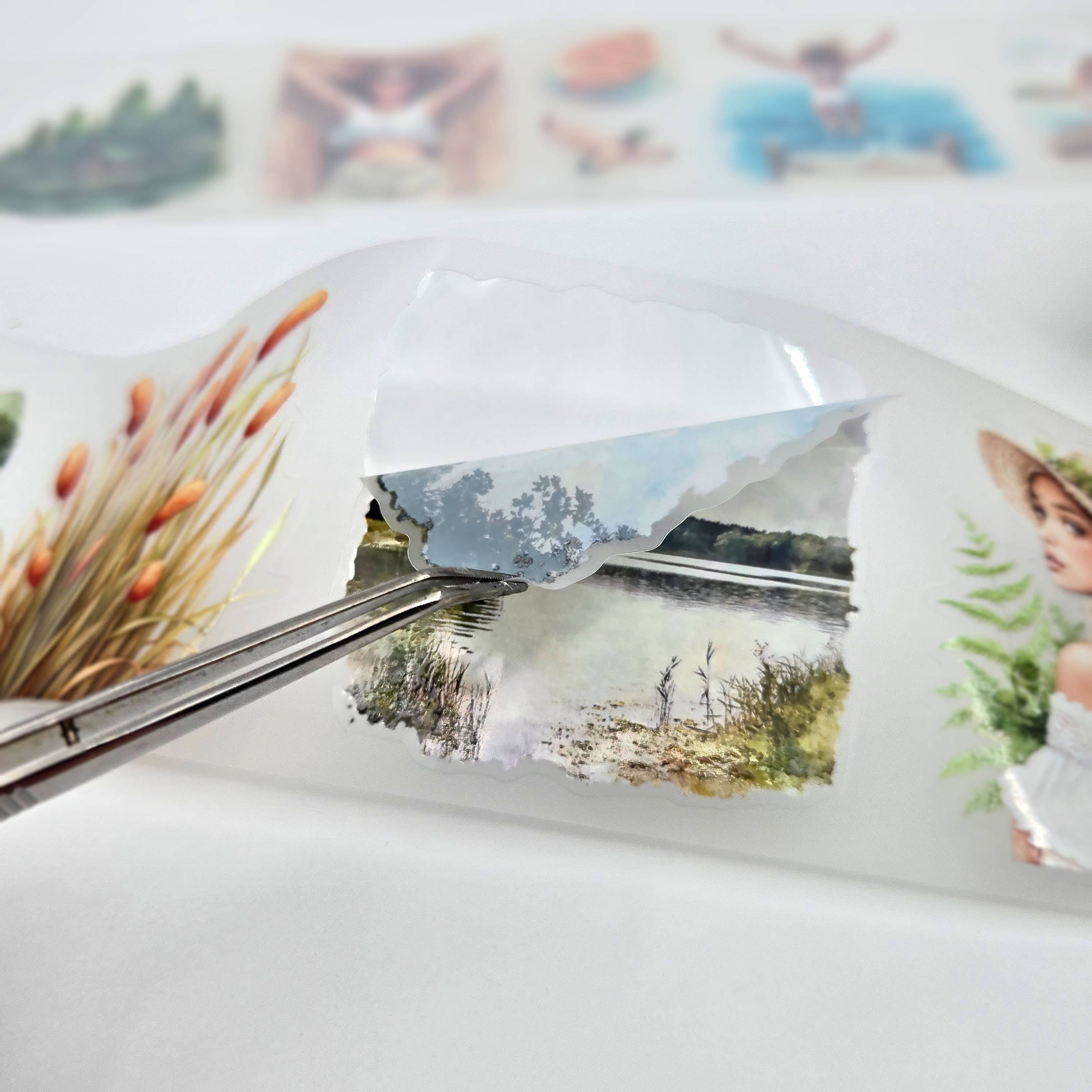 MIC & MIM Premium Paper Shop - Wholesale Washi Tape - MIC | PET Tape (3D Glossy & Kiss-cut): Lakeside Days1