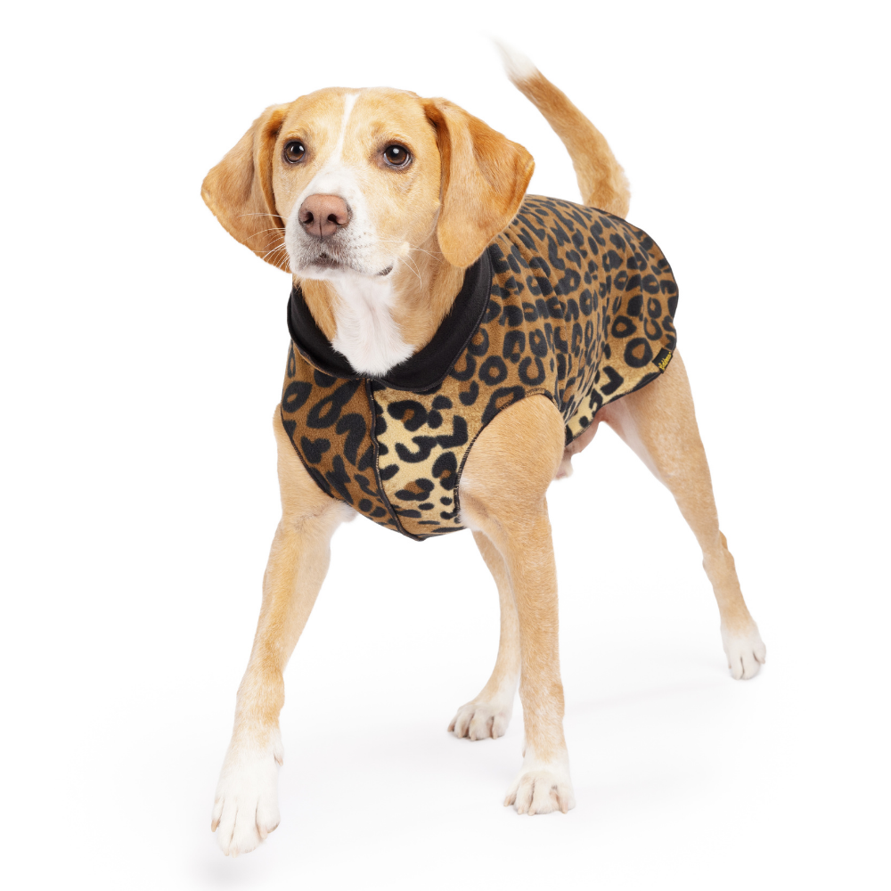 Gold Paw Series - Wholesale Pet Coat - Dog - Double Fleece8