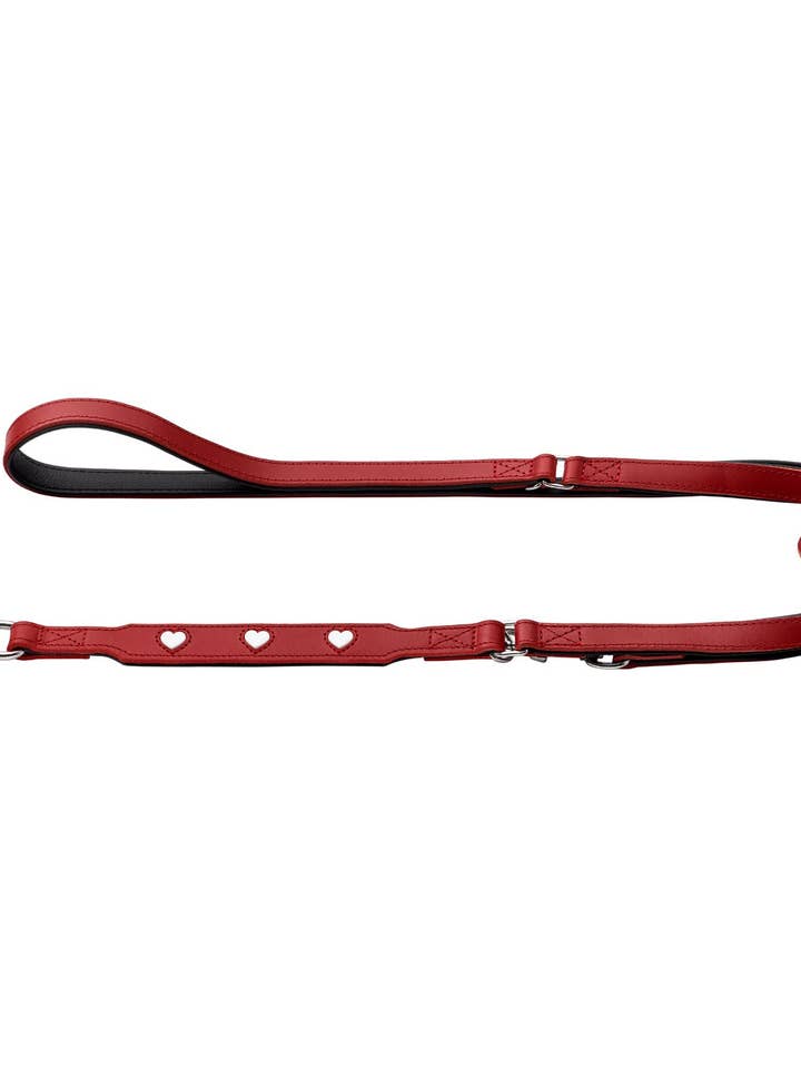 Alpen LOVE Leashes for wholesale by Alpen Schatz