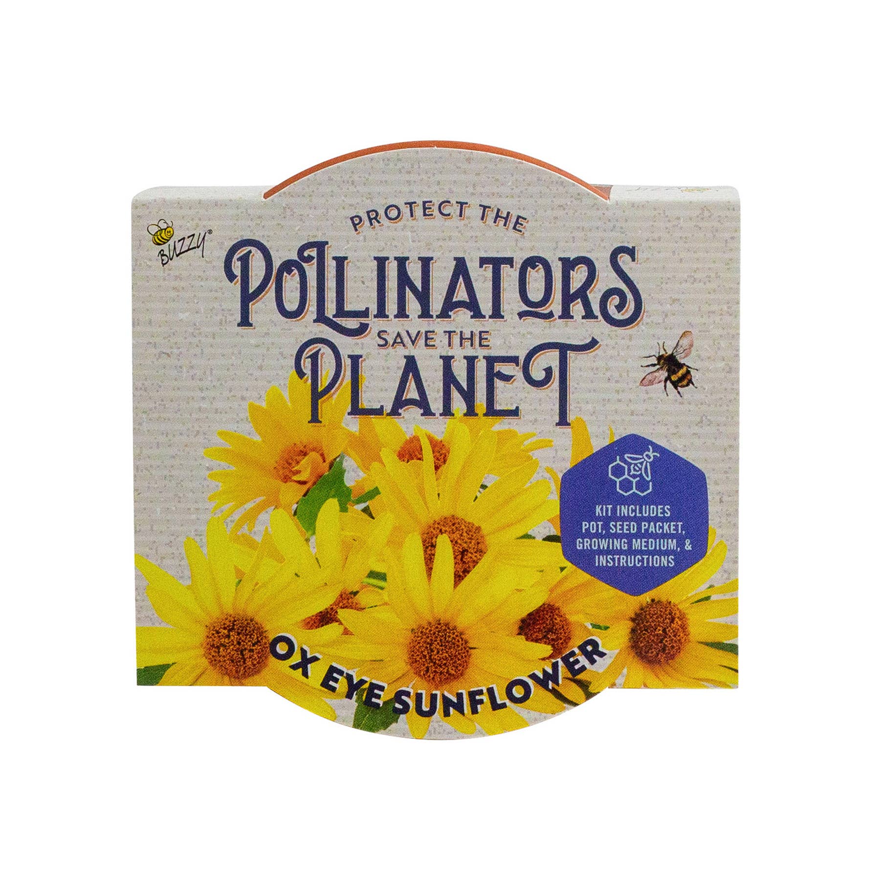 Buzzy Seeds Grow Gifts - Vente Graines de plantes - Pollinisateur Classique Terre Cuite - Hélianthe Faux-Héliopsis1