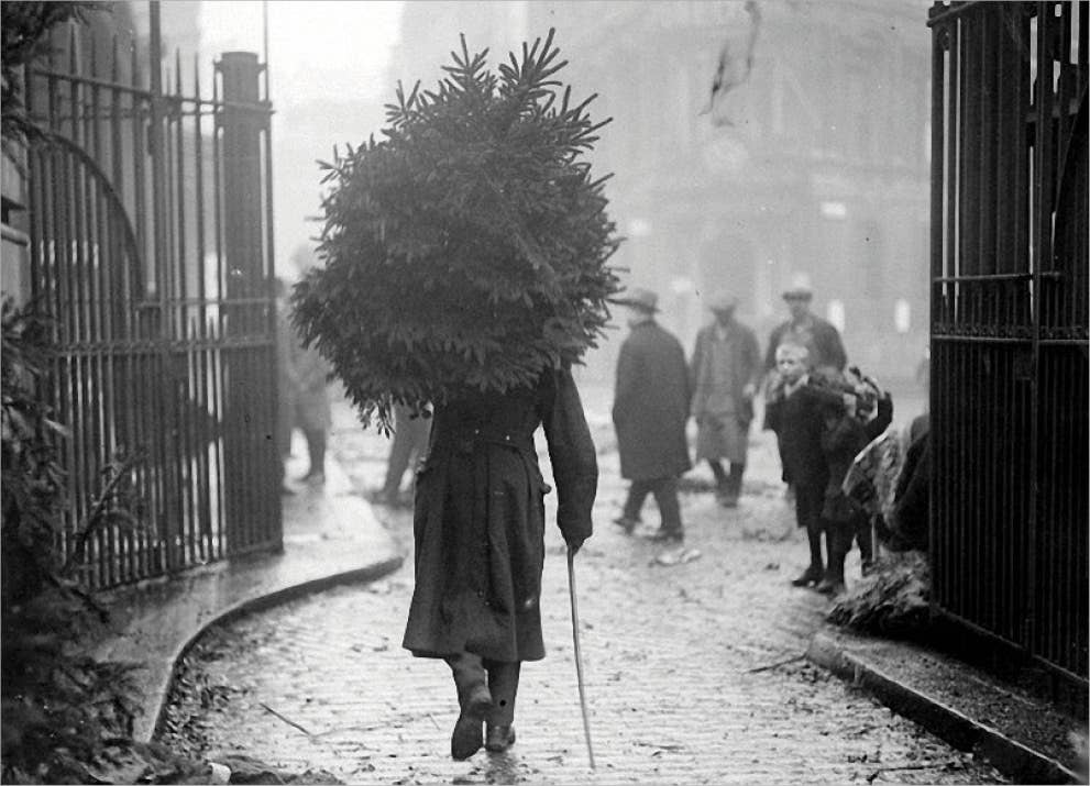 The Retrospect Group Collection - Vente Cartes de Noël - Cartes de Noël Taking Christmas Tree Home
Cartes de vœux0