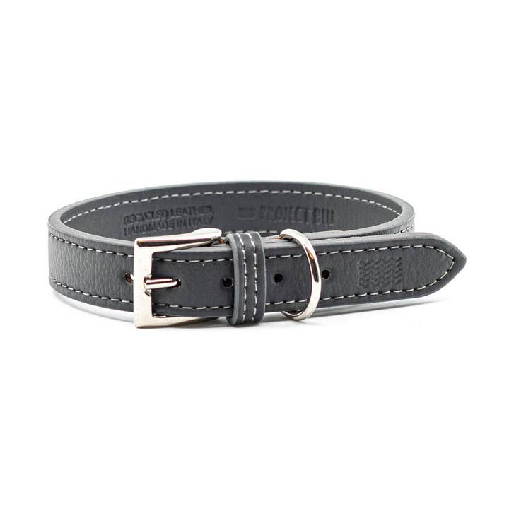 Malibu - ELeather Dog Collar for wholesale by Project Blu