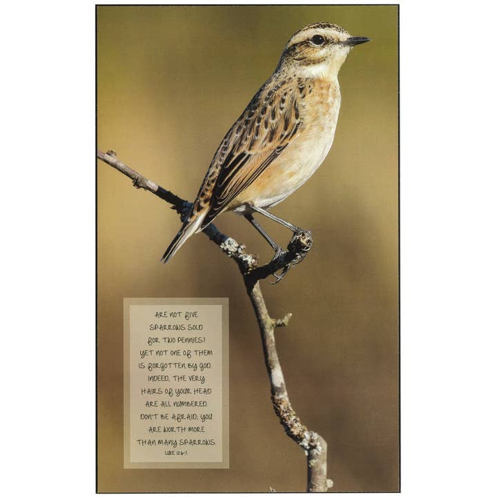 Magnolia - Wholesale Plaque - MANY SPARROWS LUKE 12:6-7 WALL PLAQUE