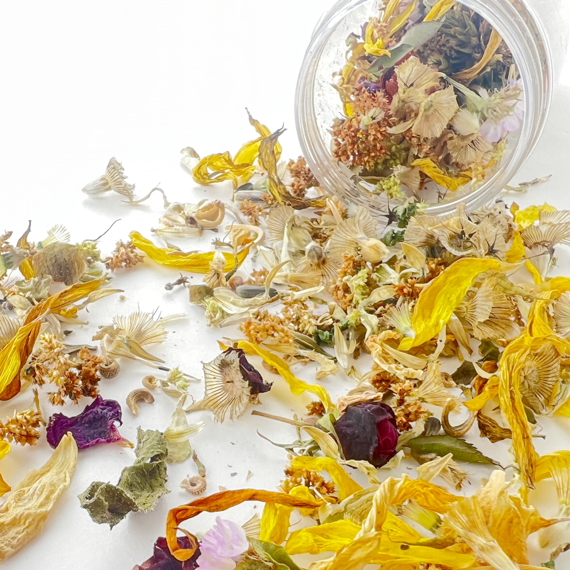 Sow the Magic - Wholesale Confetti - Wildflower Garden Confetti Sprinkles - Blooming Celebrations1