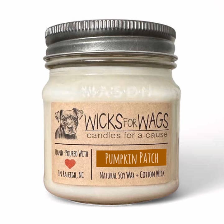 Pumpkin Patch | Höst + Vinter | 8 oz Mason Jar Sojaljus för wholesale av Wicks for Wags