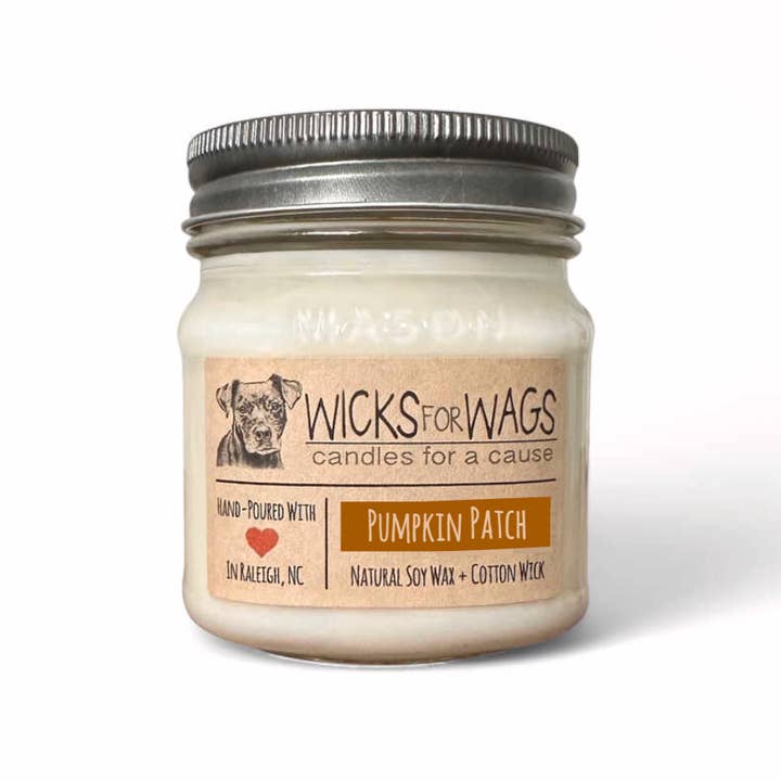 Pumpkin Patch | Fall + Winter | 8 oz Mason Jar Soy Candle for wholesale by Wicks for Wags