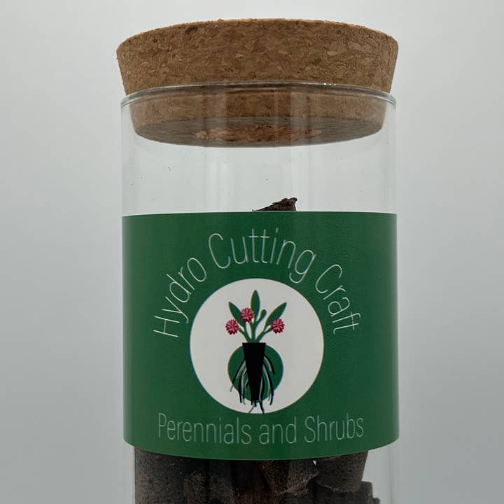 Hydroponic Plant Cutting Craft Garden Propagation DIY Set for wholesale by Gardeners Harbor