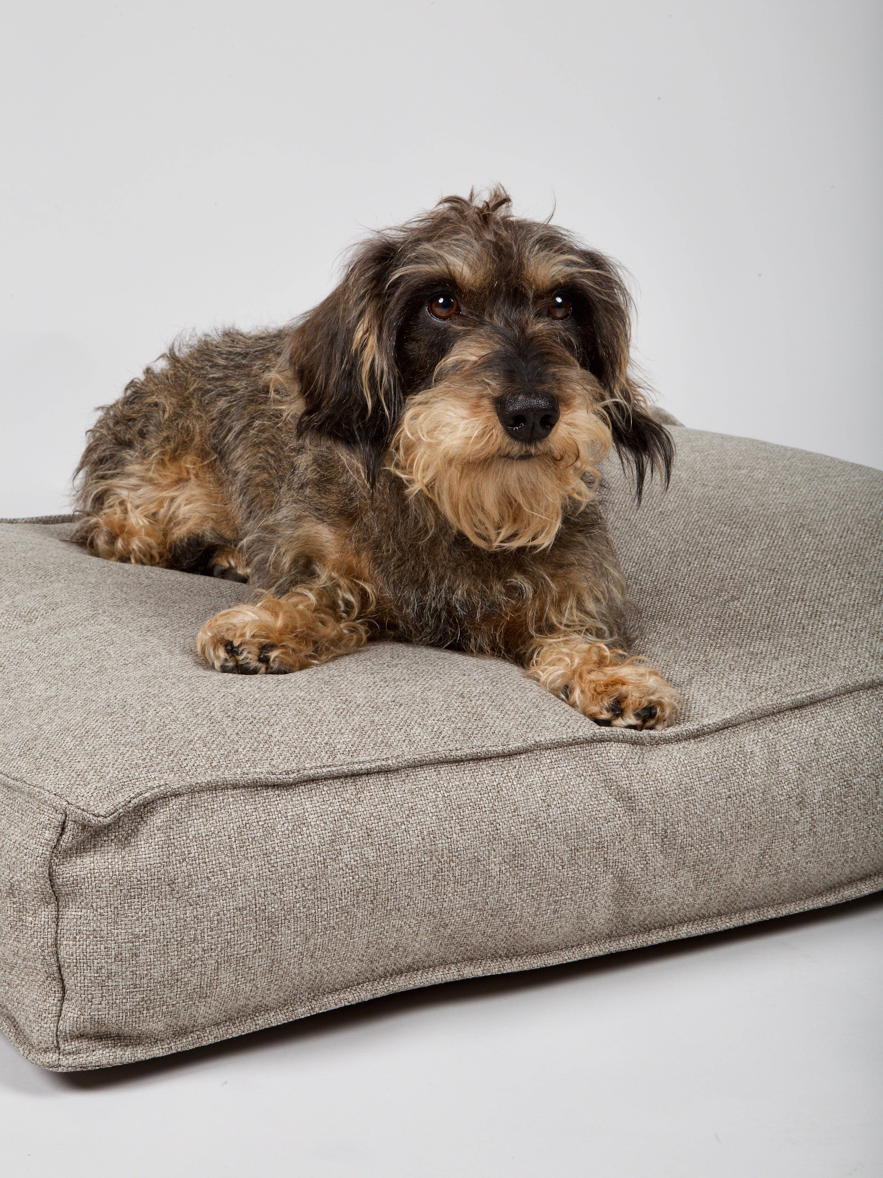 Hygge Dog Cushion Cappuccino for wholesale on Faire4