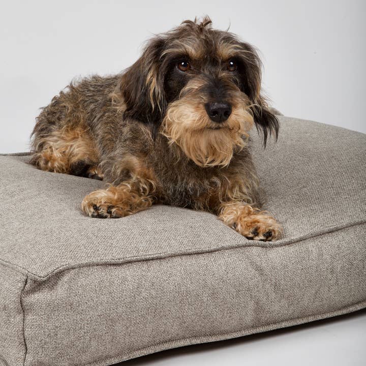 Hygge Dog Cushion Cappuccino for wholesale on Faire4