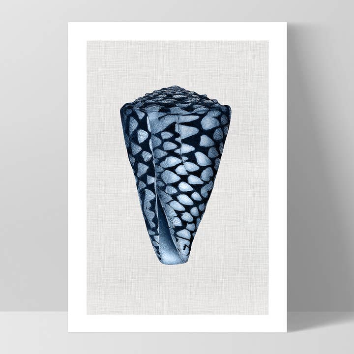 PRINT AND PROPER - Wholesale Art Print - Vintage Style Conus Shell Print. Sea Shell Nautical Poster