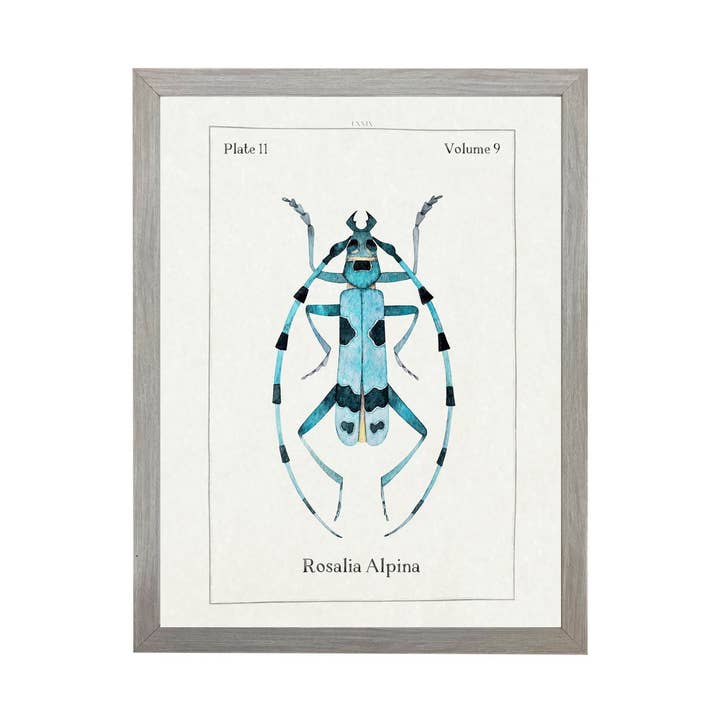 Watercolor Blue And Turquoise Bug Bookplate for wholesale by Antique Curiosities Inc