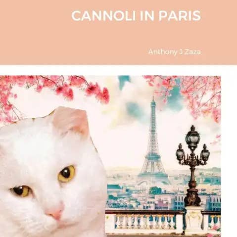 Books by splitShops - Wholesale Travel - Cannoli in Paris - Hardcover