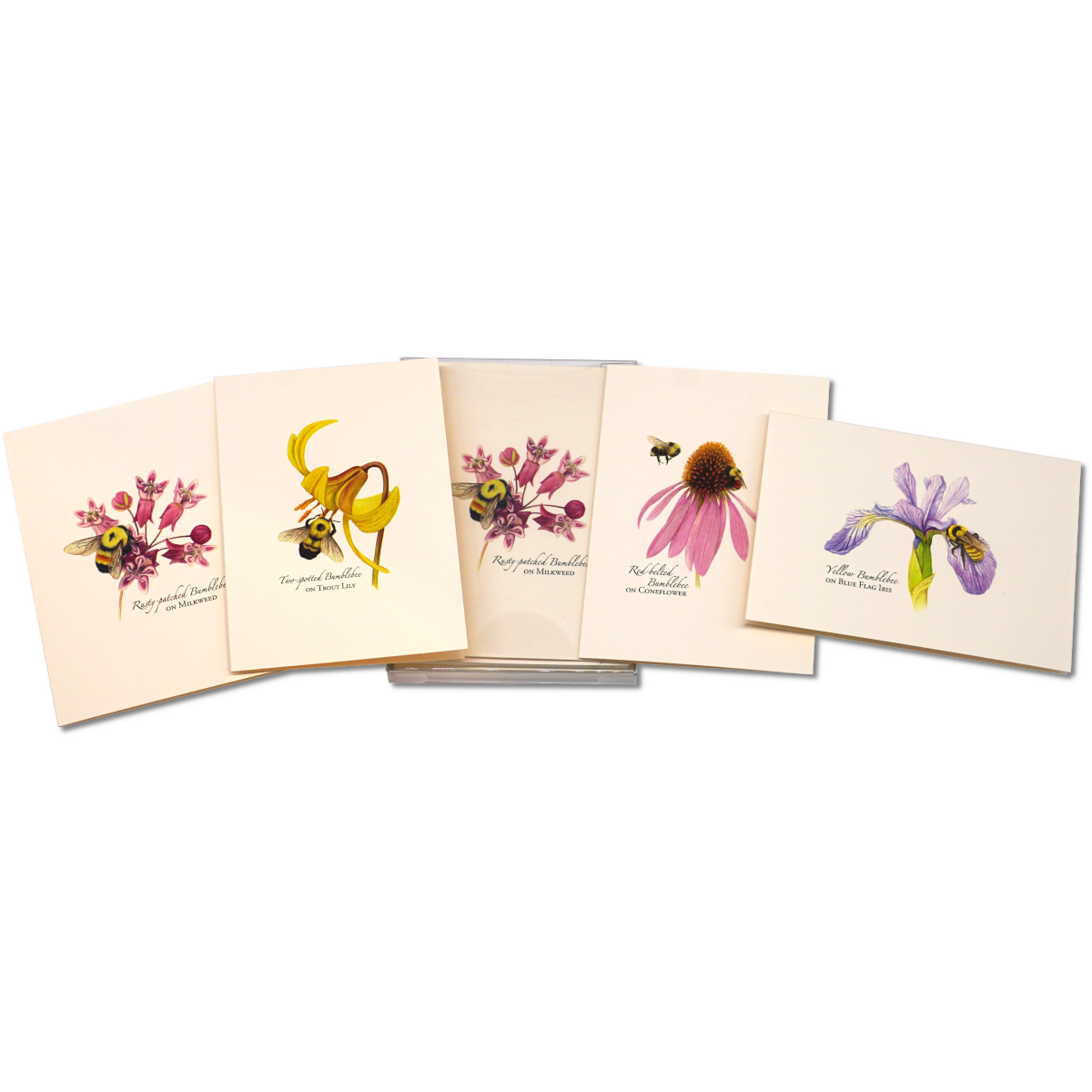 Earth Sky + Water - Wholesale Stationery/Notecard Set - Bumblebee Assortment Notecard Set5