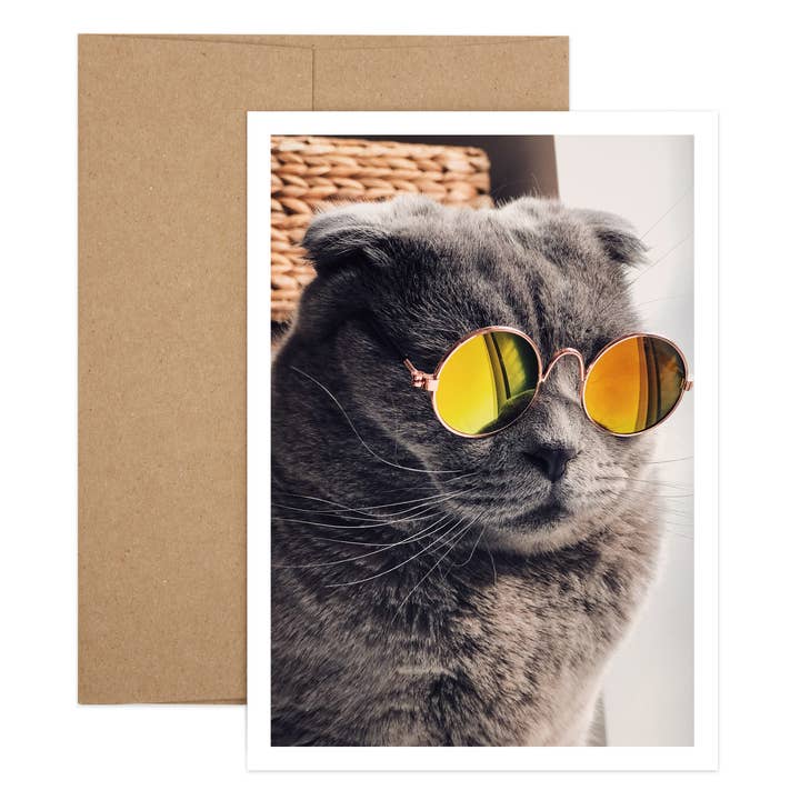 Cool Cat Happy Birthday Card, Recycled Paper for wholesale by Salty Dog Publishing