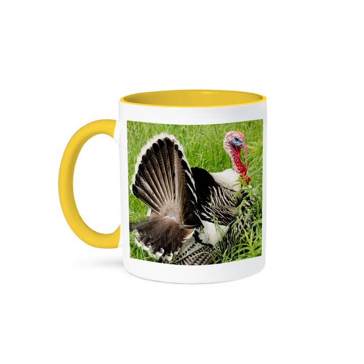 3dRose - Wholesale Coffee Mug - 3dRose, USA, New York, Cooperstown. Domestic tom turkey, courtship display., Mug